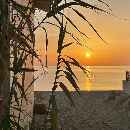 Climatise Avec Wifi Pres De La - Fr-1-776-118 Argeles-sur-Mer