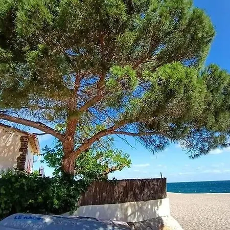 Climatise Avec Wifi Pres De La - Fr-1-776-118 Daire Argelès-sur-Mer